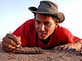 Los investigadores del 'National Geographic' descubren nuevos fósiles en el Sáhara