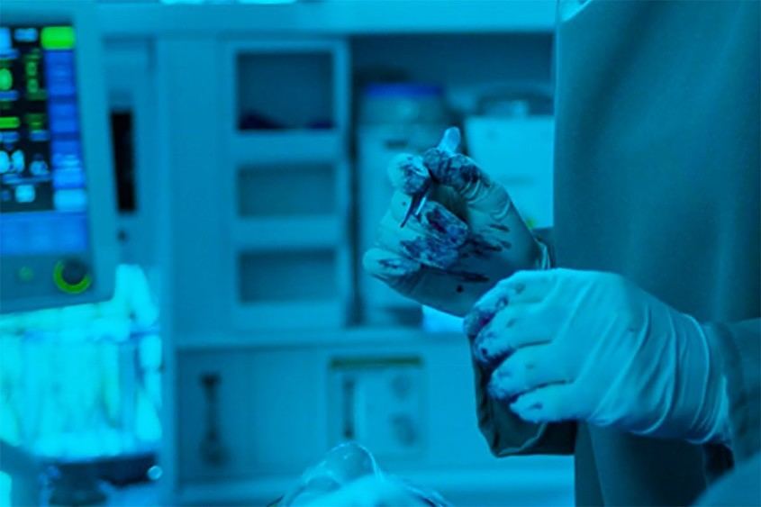 Más de 7.400 donantes de tejidos en España durante 2024