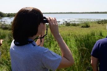 Gobierno destina 4 millones para proyectos innovadores en Doñana