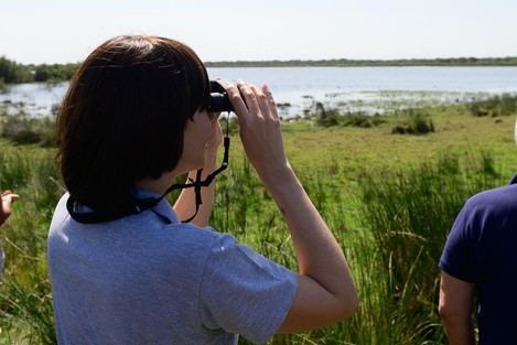 Gobierno destina 4 millones para proyectos innovadores en Doñana
