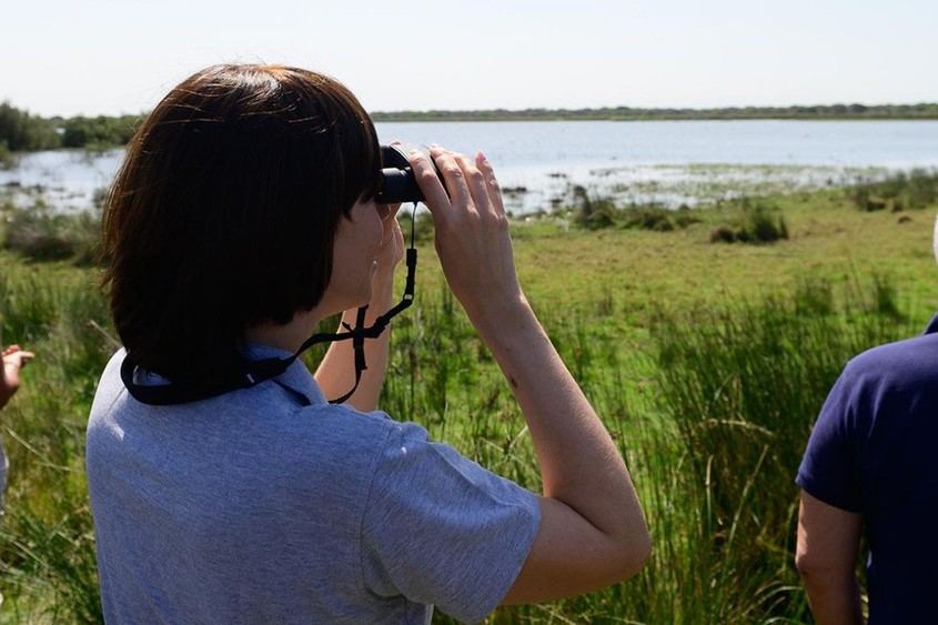 Gobierno destina 4 millones para proyectos innovadores en Doñana