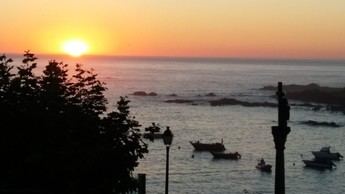 Apertura de la pesca de caballa en Asturias y Lugo para buques de artes menores