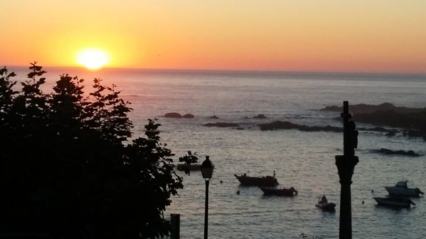 Apertura de la pesca de caballa en Asturias y Lugo para buques de artes menores