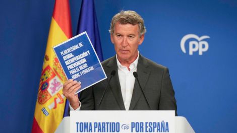 Un PP echado al monte y que deja quemar