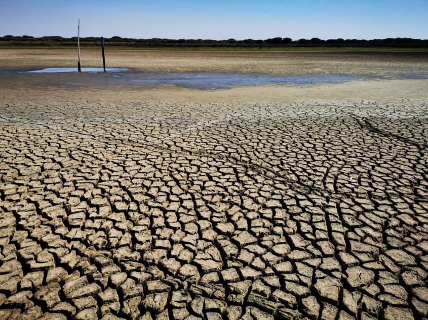 CSIC / Laguna de Santa Olalla, en Doñana, Carmen Díaz Paniagua