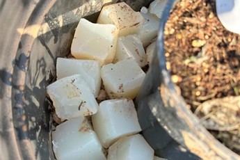 AIMPLAS presenta agua sólida, una solución biodegradable para el riego eficiente de plantas