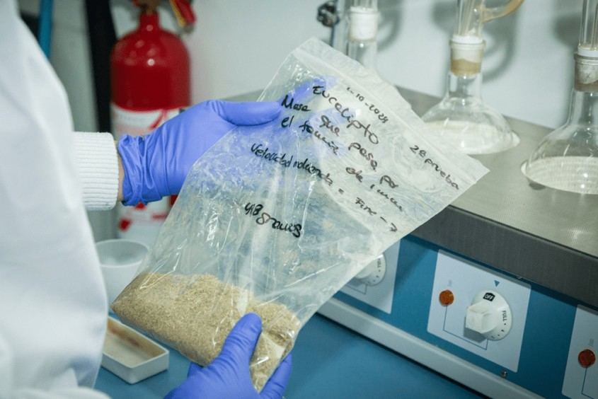 Proyecto BIOTER-Lab convertirá residuos forestales en productos industriales rentables