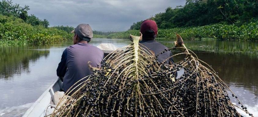 La Amazonía, clave en la lucha global contra el hambre y el cambio climático