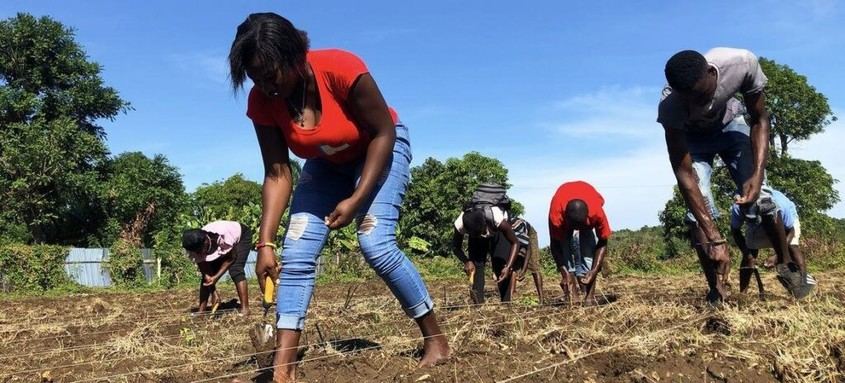 Agricultores haitianos crean bancos de semillas para combatir el hambre y el cambio climático