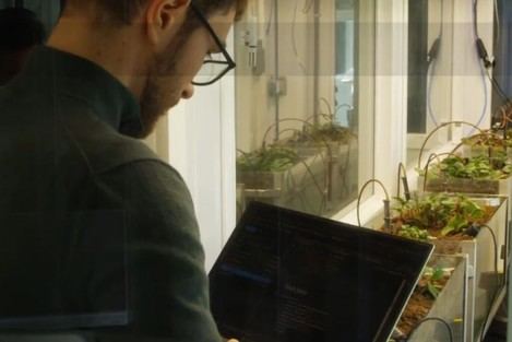 FresQia: Innovador sistema para detectar enfermedades foliares con inteligencia artificial y computación cuántica