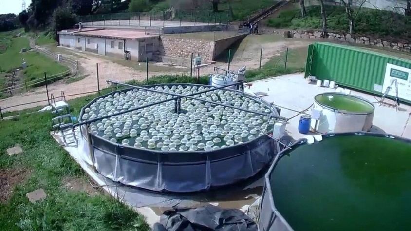 Nueva tecnología ecológica para limpiar aguas subterráneas contaminadas