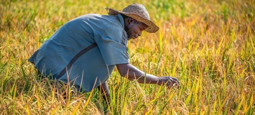 El calor extremo pone en riesgo la salud de trabajadores al aire libre