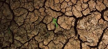 Casi seis millones de niños en América Latina caerán en la pobreza por el cambio climático