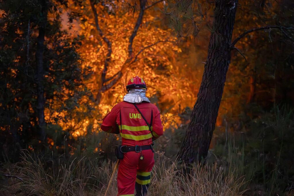 Gobierno permite incluir incendios no reportados en declaración de emergencia