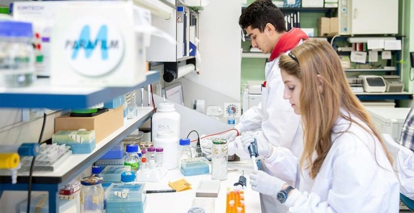 El MICIU invertirá 38 millones en la contratación de 500 jóvenes investigadores