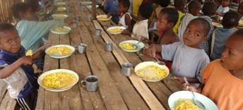ONU pide unidad global para erradicar el hambre en el Día de la Alimentación