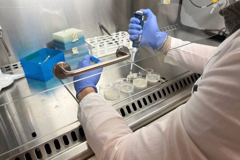EURECAT impulsa proyectos innovadores para combatir la contaminación marina y promover la bioeconomía