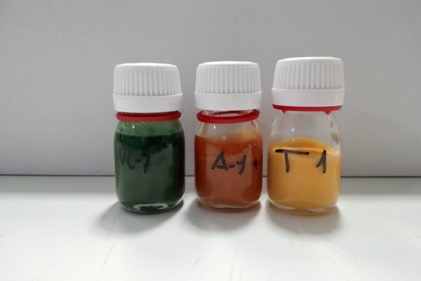 Éxito del proyecto RECIPOL en reciclaje de espumas biobasadas para calzado