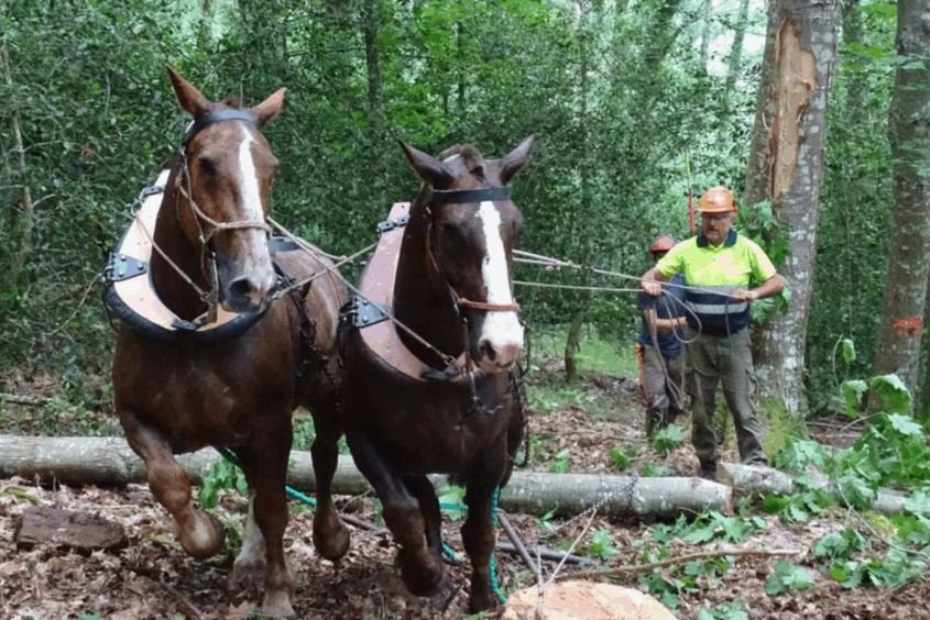 FORTEXVAL: Un modelo exitoso de bioeconomía circular para zonas rurales