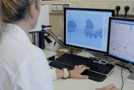 ITC -REDIT- lidera proyecto europeo para mejorar calidad del aire en puertos