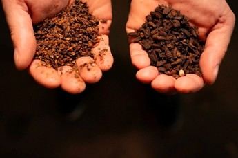 ITG impulsa la cría de insectos con IA y tecnología cuántica