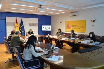 El Gobierno destina 46,6 millones de euros para promover el vino español en mercados exteriores en 2027