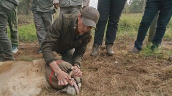 La Dra. Fabiola Jones investiga la convivencia entre humanos y fauna salvaje en África