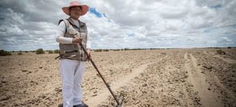 Degradación de la tierra amenaza cultivos y a 1700 millones de personas