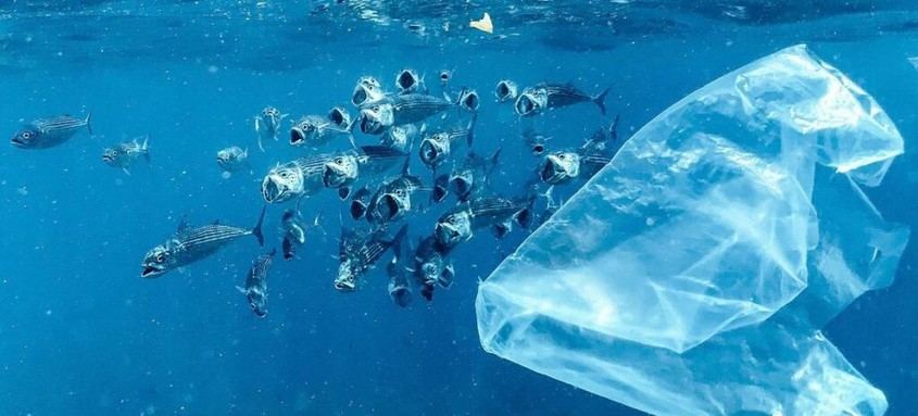Negociaciones en Ginebra buscan frenar el aumento de residuos plásticos para 2060
