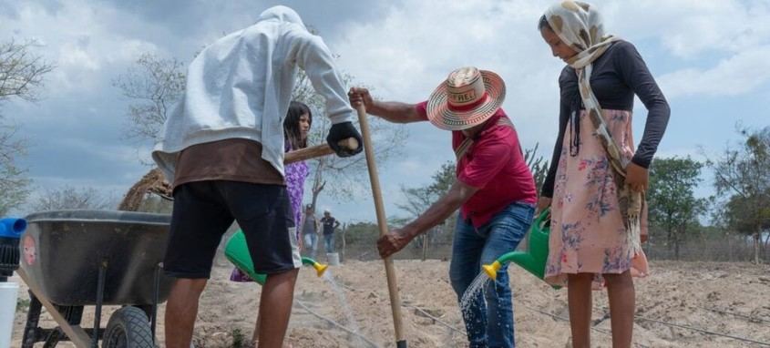 El 80% del empleo agrícola en América Latina es informal y sin protección social