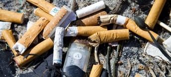 Avances significativos en la lucha contra el tabaco y su impacto ambiental
