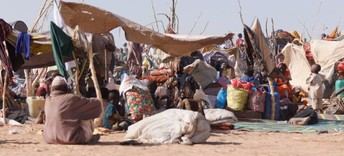 Crisis humanitaria en El Fasher: hambre y violencia extrema afectan a la población