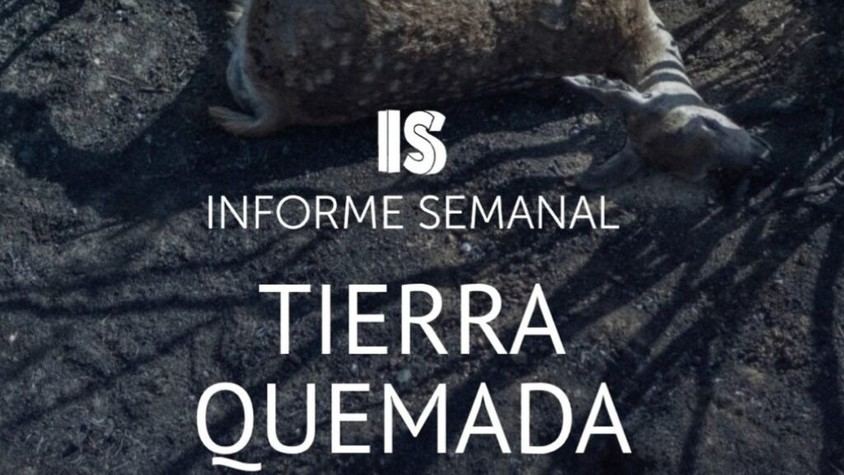 Incendios en Zamora: ‘Informe Semanal’ aborda la devastación este sábado